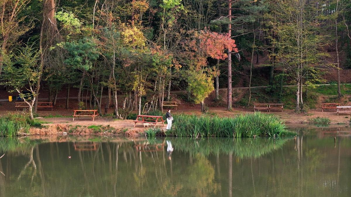 dzce korugl tabiat park korugl tabiat park seyahat fotoraflar resimleri