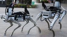 Sonraki hedef insansz robotlar! Milli rakip Robot kpek greve hazr
