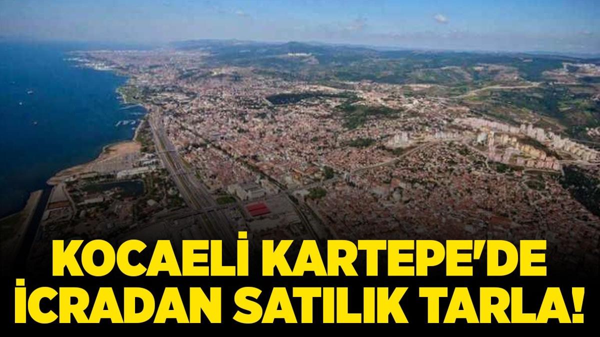 kocaeli kartepe tarla icradan satlk tarla icra ilanlar fotoraflar resimleri