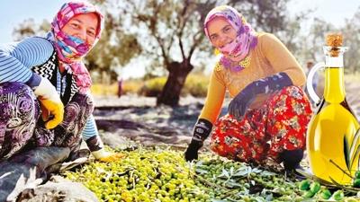 Ayvalk'tan deil kitelli'den! Zeytinyanda taklit-tai dizboyu