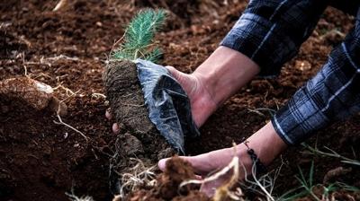 Kabine yelerinden Yeil Vatan Seferberlii'ne destek