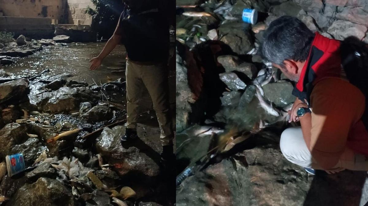 Adana Ceyhan Nehri balk lmleri fotoraflar resimleri