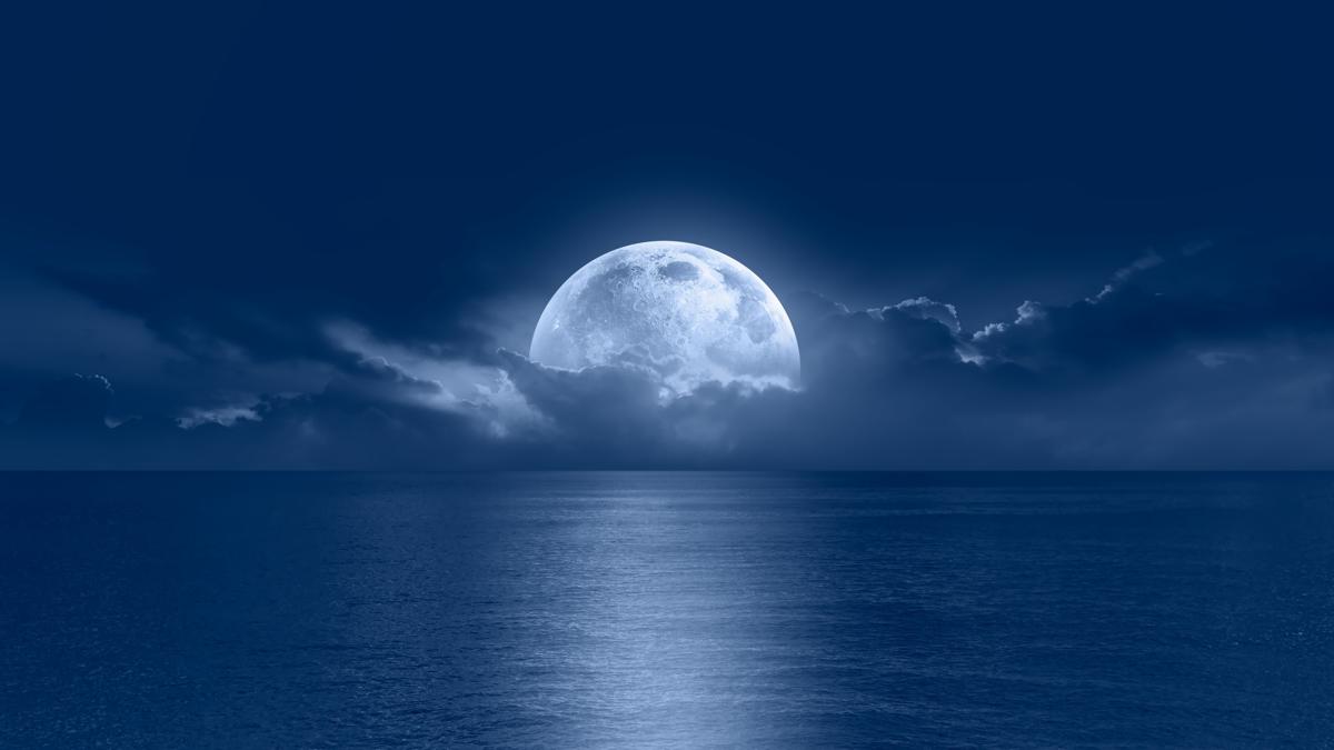 uyuz bur astroloji fotoraflar resimleri