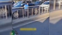 Saryer ve mraniye'deki trafik magandalar yakaland