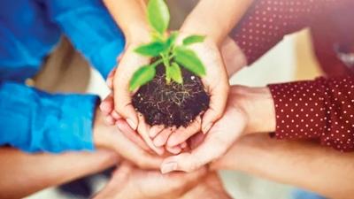 Bir ylda 550 milyon fidan dikilecek... 11 Kasm Milli Aalandrma Gn