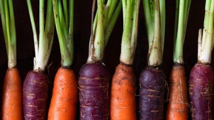 Bu sebzeyi dzenli tketenlerin rengi deiiyor! Beta karoten cevheri