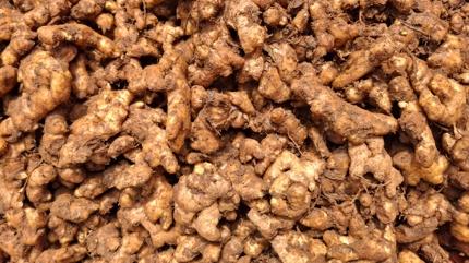 Mide zarn kamufule ediyor: 3 besin var ki kramp rahatlatyor