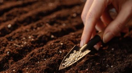 Minerali koyun stn solluyor! Kemikleri betonlatran besin