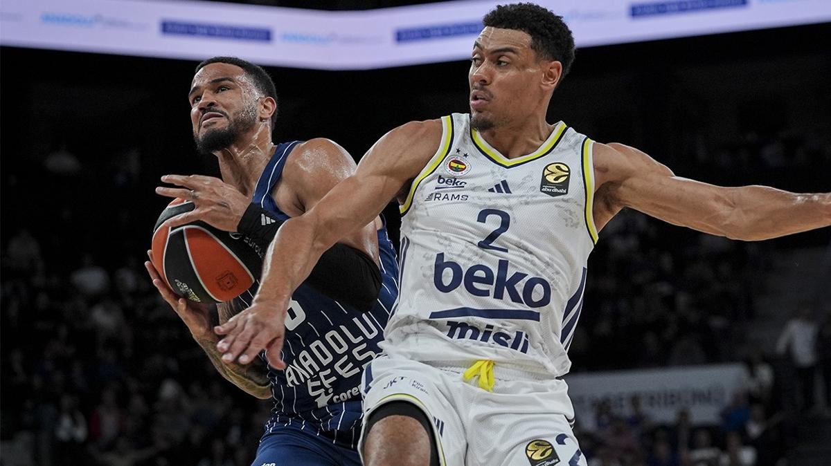 fenerbahe beko anadolu efes euroleague fotoraflar resimleri