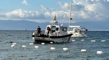 Bodrum'da tekne facias! 7 gmen can verdi