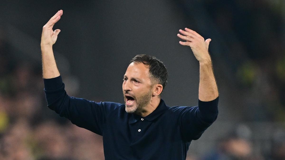 fenerbahe domenico tedesco futbol fotoraflar resimleri