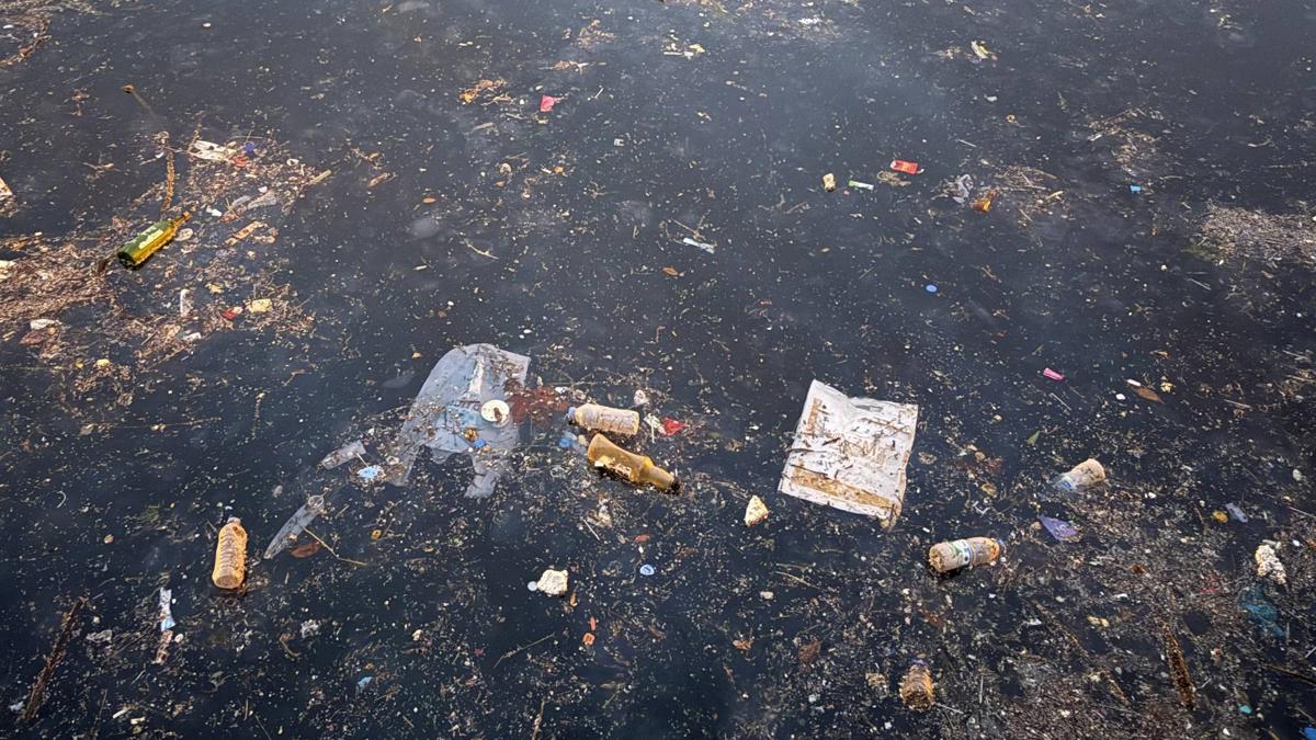 saryer kirlilik  deniz fotoraflar resimleri