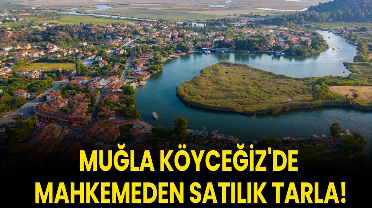 Mula Kyceiz tarla mahkeme sat satlk arazi fotoraflar resimleri