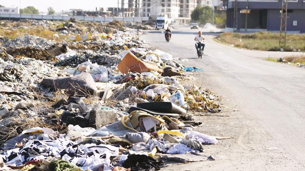 Adana'y p dalar' sard