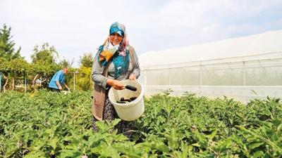 TARSM'den reticilere 27 milyarlk deme... 500 binden fazla ihbar alnd