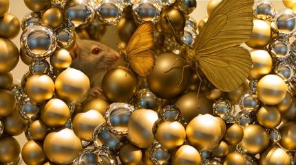 Resimde ilk ne grdn? Kiilik testi ideal partnerini sylyor! Ak msn yoksa...