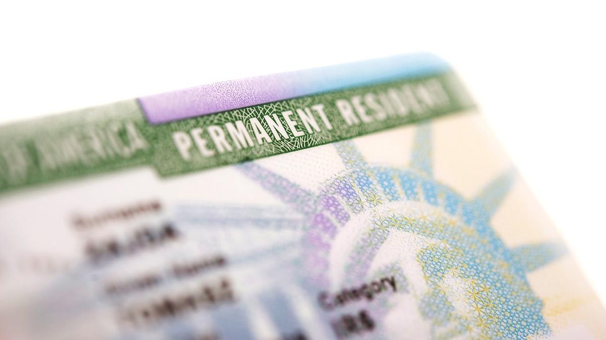 green card green card bavurular green card bavurular balad m fotoraflar resimleri