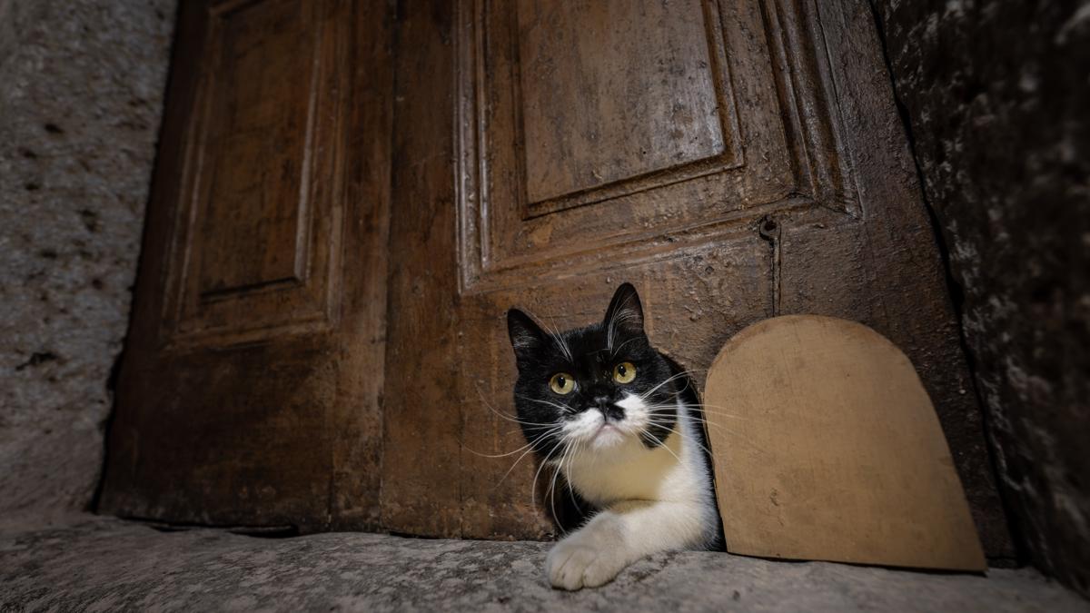 topkapsaray istanbul Karaaalar Kouu fotoraflar resimleri