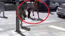 Ankara'da karya geen kadna pe pee yumruk atmt! Trafik magandasna verilen ceza belli oldu