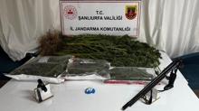 anlurfa'da uyuturucu operasyonu: 4 gzalt!