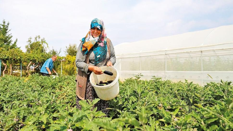 TARSM'den reticilere 27 milyarlk deme