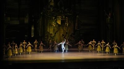 Sanatn kalbi stanbul'da AKM'de atyor