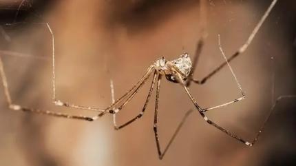 rmcek bu yzden eve geliyormu! te o haereden kurtulmann yolu