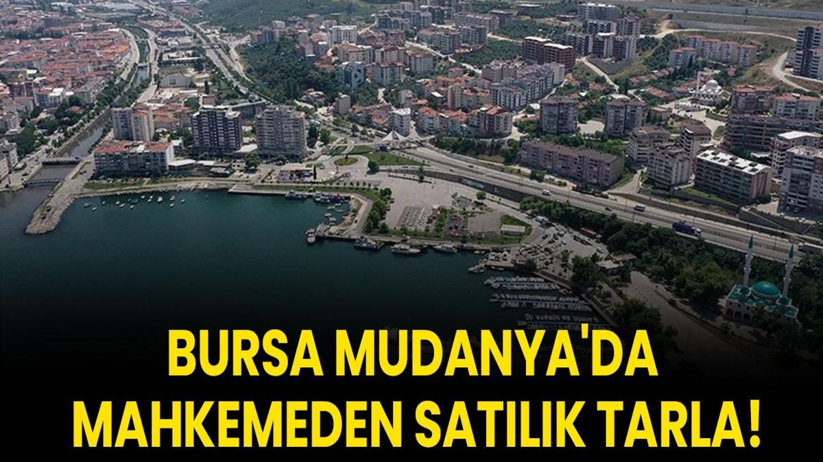 Bursa Mudanya  4.450 metrekare tarla  mahkeme sat fotoraflar resimleri