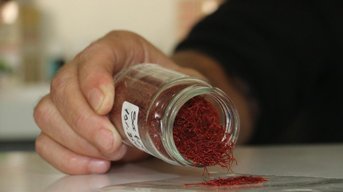 safran amasya baharat fotoraflar resimleri