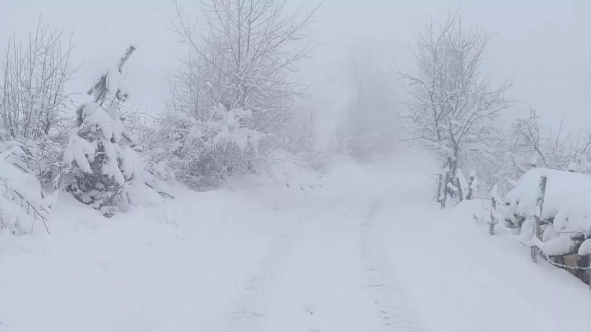 Sarkam kar ya yksek kesim fotoraflar resimleri