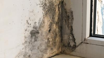 Rutubet ve küf varsa bunu deneyin! Hem etkili hem pratik yöntem...