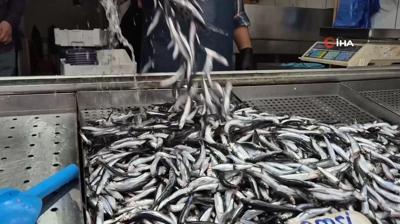 Yaz scaklar palamudu vurdu, yerini bu sezon hamsi ald