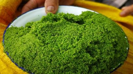 Ne maydanoz ne marul! Sper gda beyni kuvvetlendiriyor, yalar eritiyor