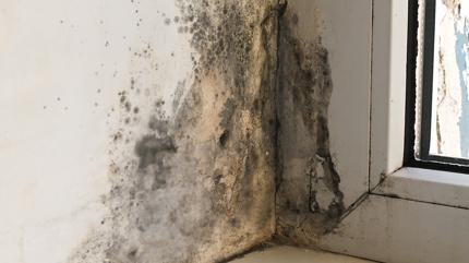 Rutubet ve kf varsa bunu deneyin! Hem etkili hem pratik yntem...