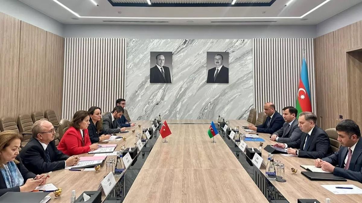 dileri bakanl azerbaycan aye berri ekici fotoraflar resimleri