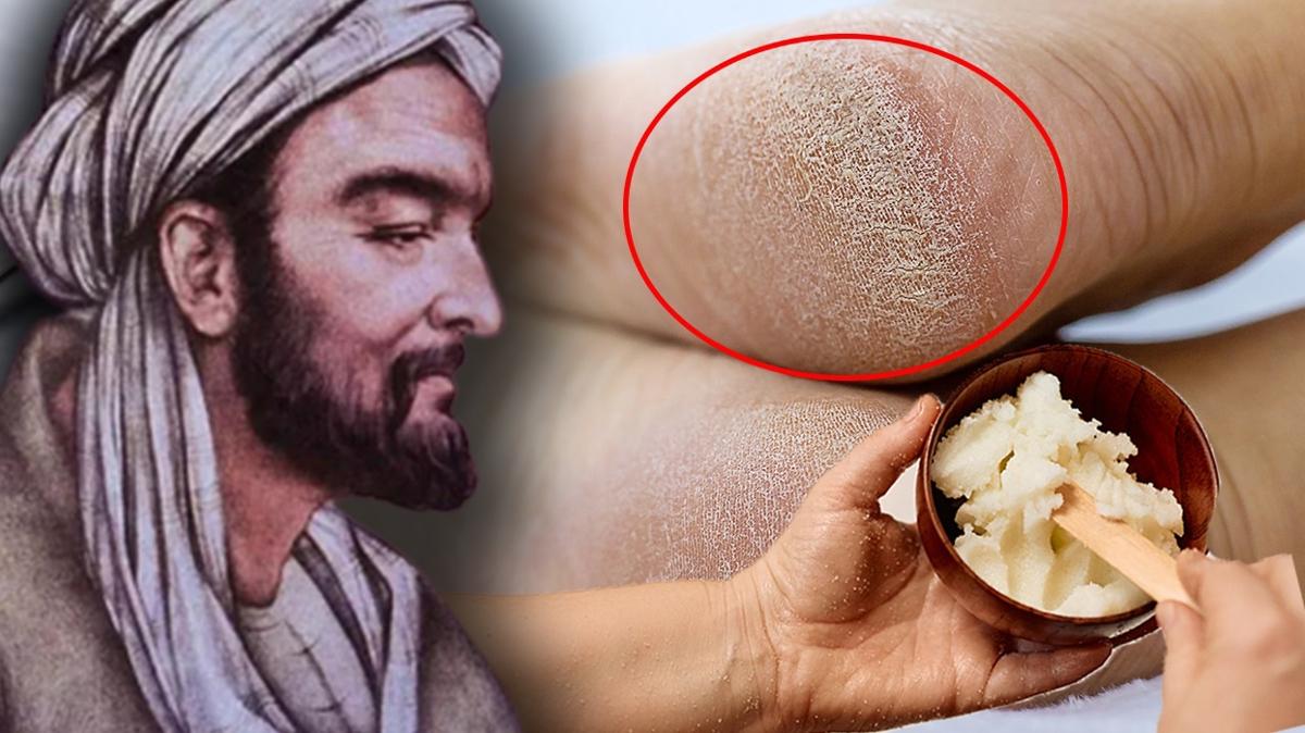 Ibn-i Sina Tereya Nasr fotoraflar resimleri