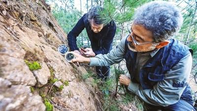 Sndrg'da fay a zlyor!