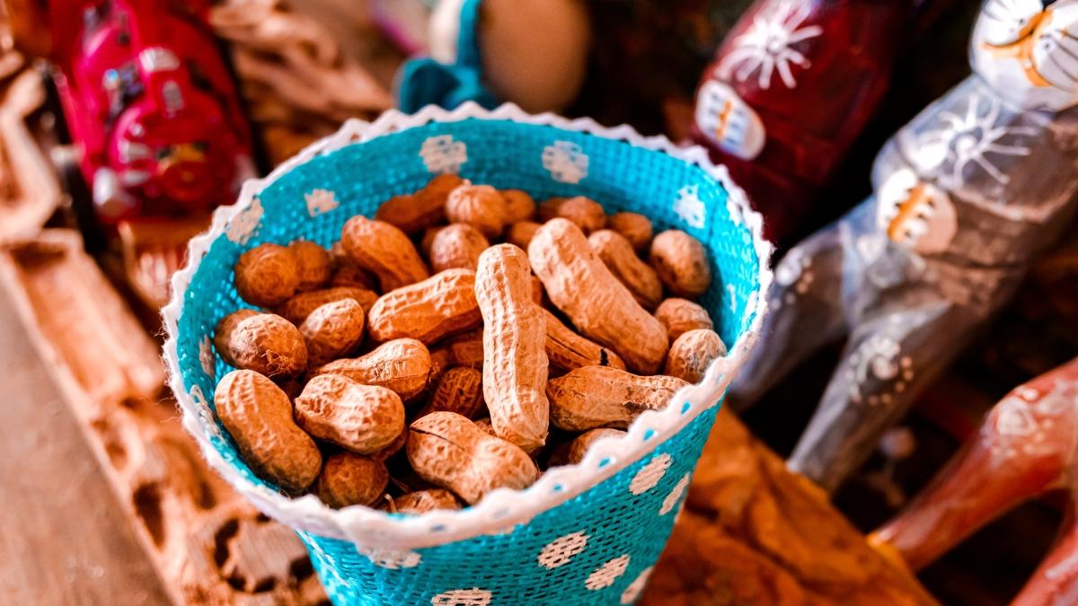 kuruyemi kolesterol salk fotoraflar resimleri