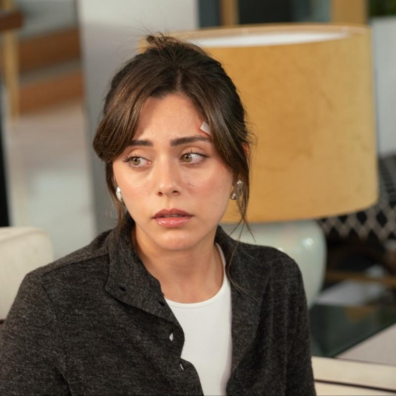 Yapmc, Sla hakkndaki gerei aklad