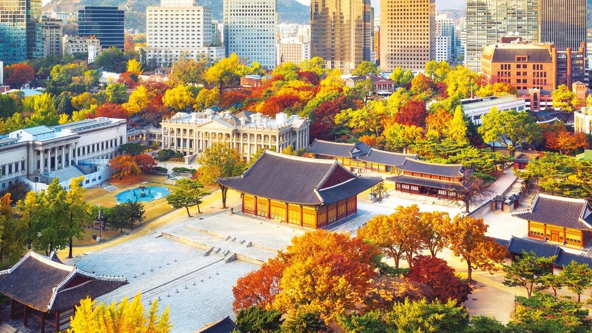 Gney Kore Seul Jeju fotoraflar resimleri