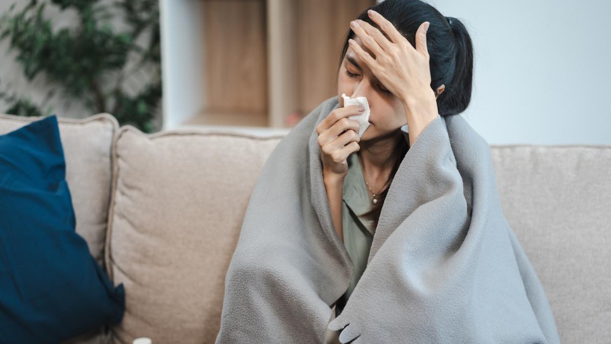 souk algnl salk hayat fotoraflar resimleri