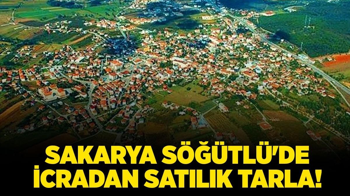 sakarya stl icradan satlk tarla icra ilanlar fotoraflar resimleri
