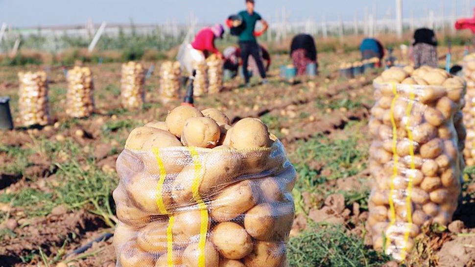 TZOB 25 lira dedi, Bakanlk yalanlad