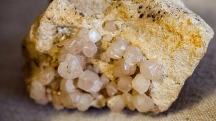 Canan Karatay aklad: Robotlar ve telefonlardaki zarar negatife eviriyor! Her sofrada olmal