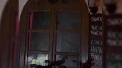 Alaçatı'da kurşun yağdırıp o anları videoya aldı