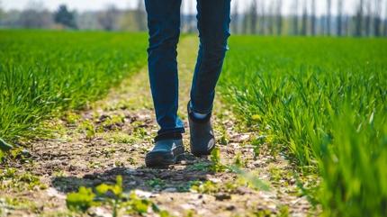 Vcuda format atyor! 20 dakika yeterli