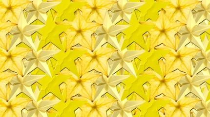 Zeka testi: Yldzlarn iindeki kedi nerede? 610 kii denedi, 28'i buldu