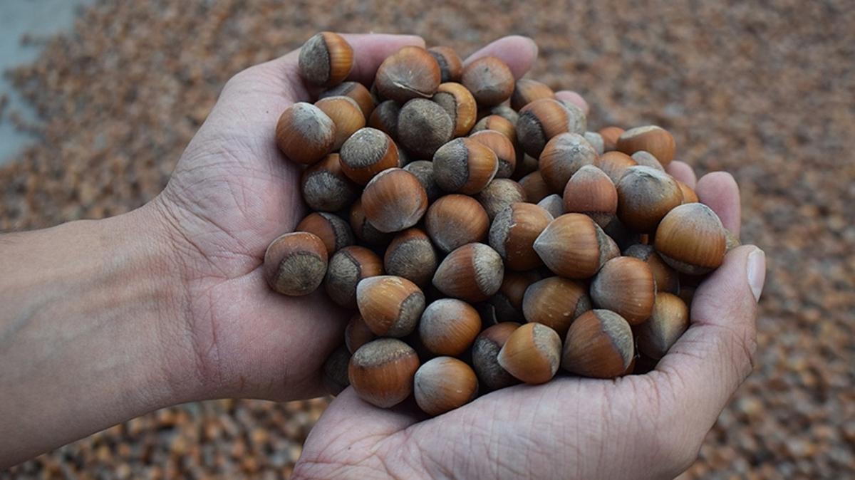 Fndk ihracat 2025 2026 fotoraflar resimleri