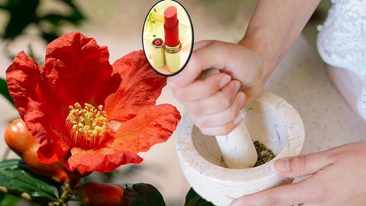 Osmanl gzellik srlar gzellik Osmanl saray fotoraflar resimleri