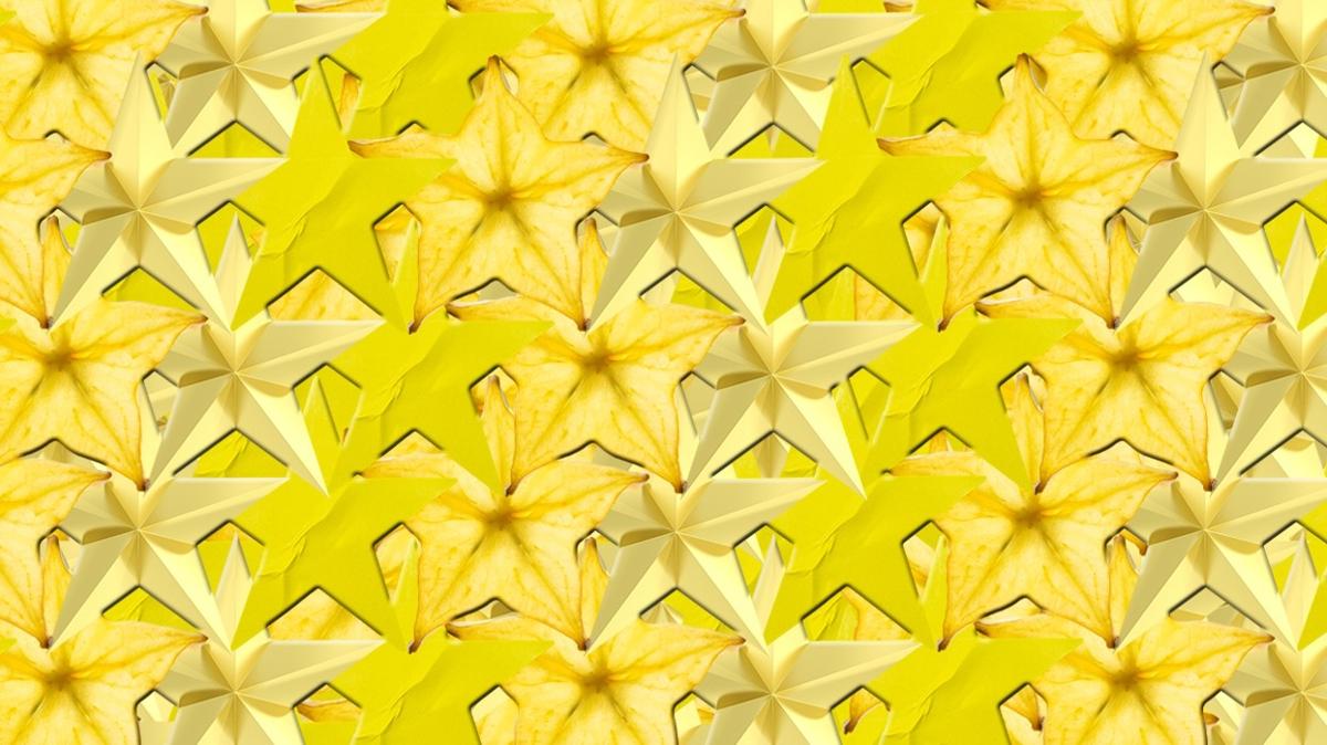 optik illzyon zeka yldz kedi test fotoraflar resimleri